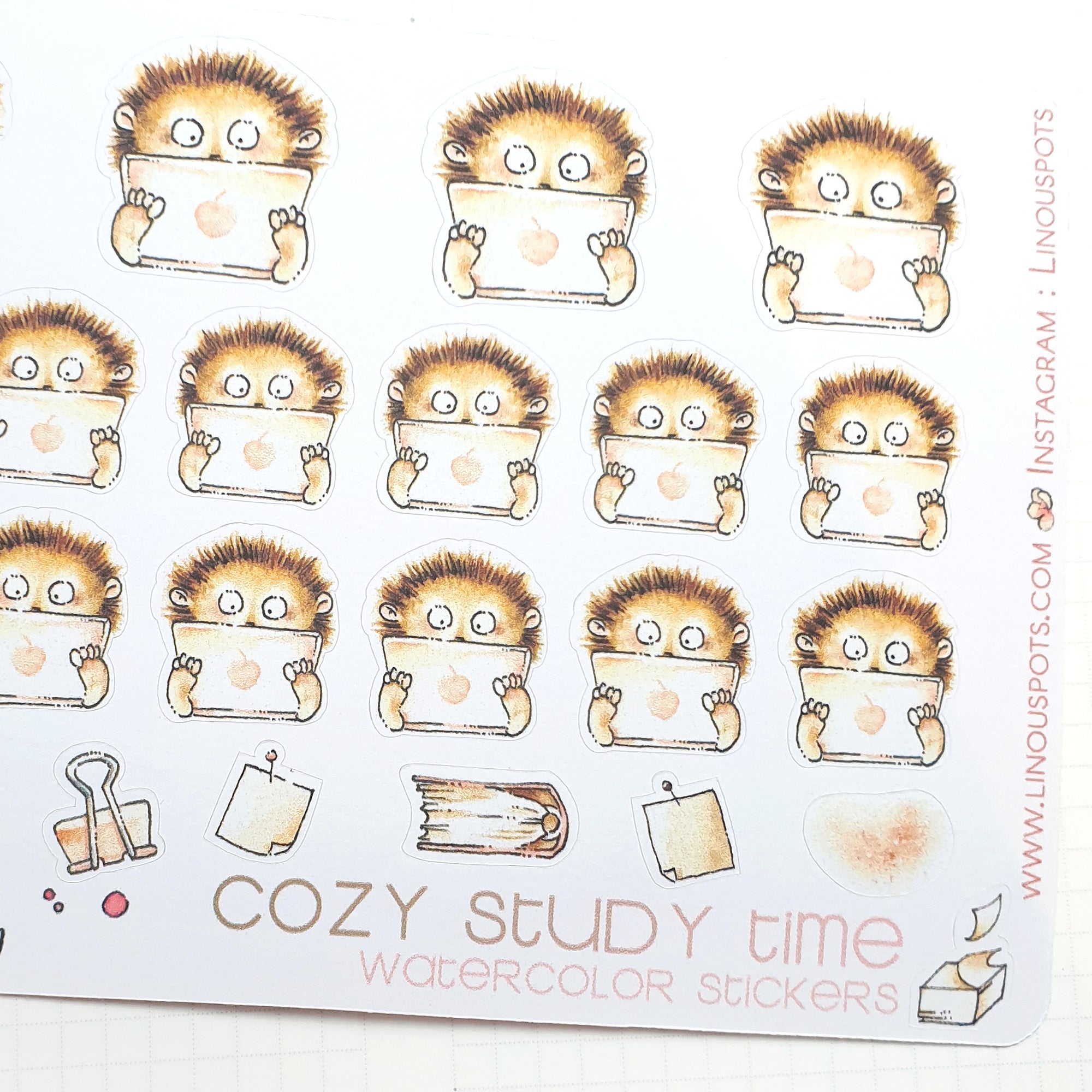 Second closeup of hedgehog stickers - perfect for studying time