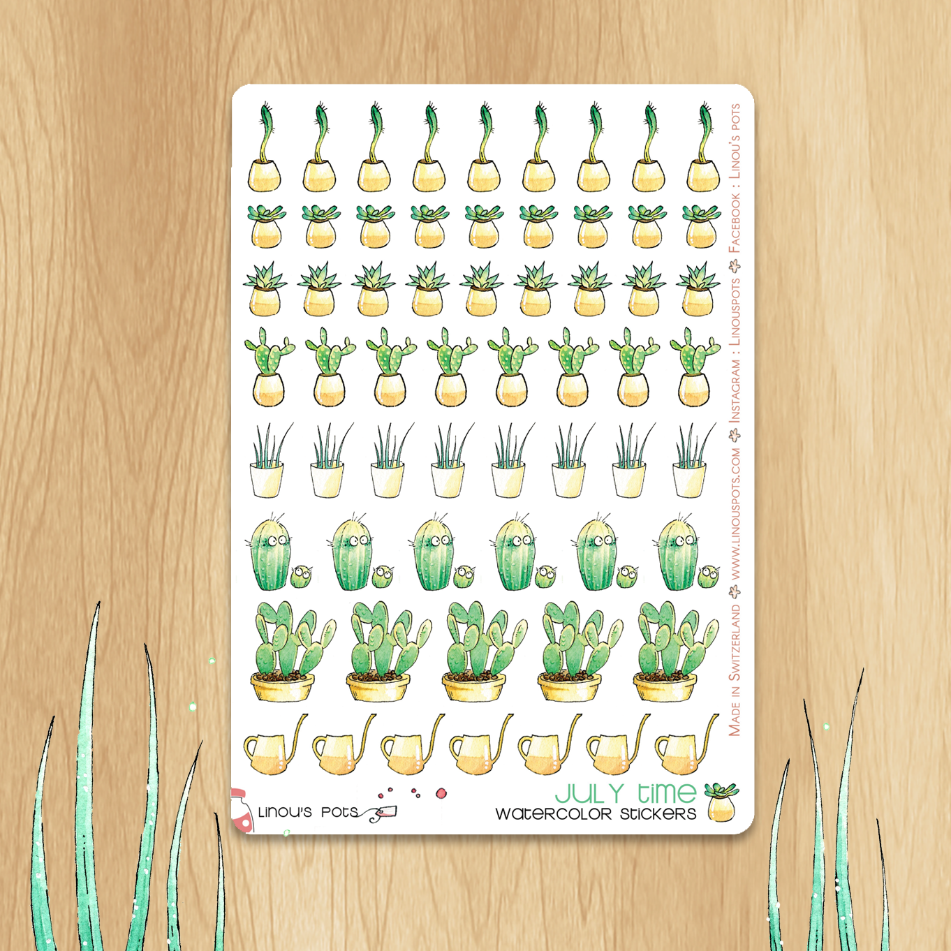 Playing In The Sand - Watercolor Decorative Stickers -  Succulents and Cactus