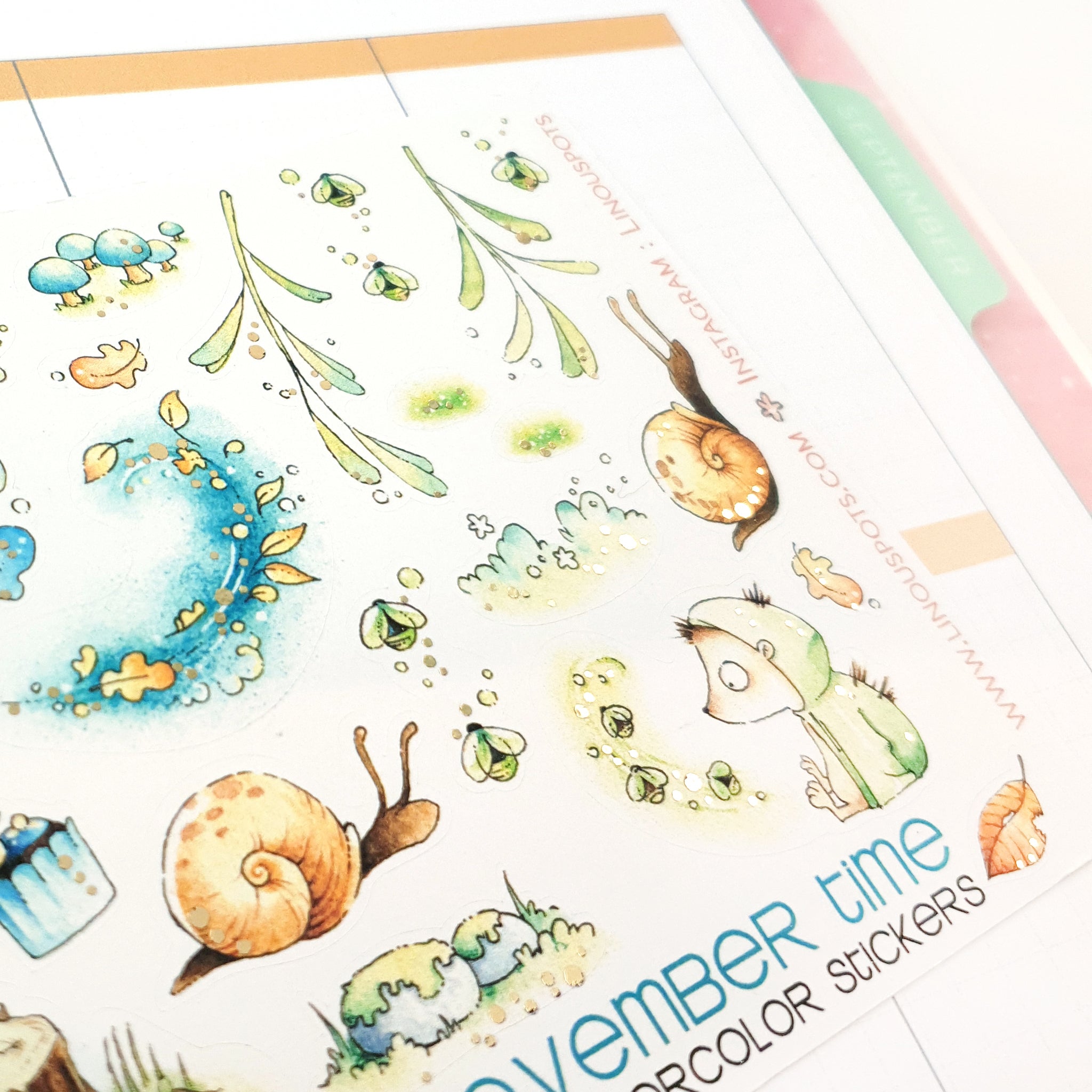 Fall collections – Linouspots