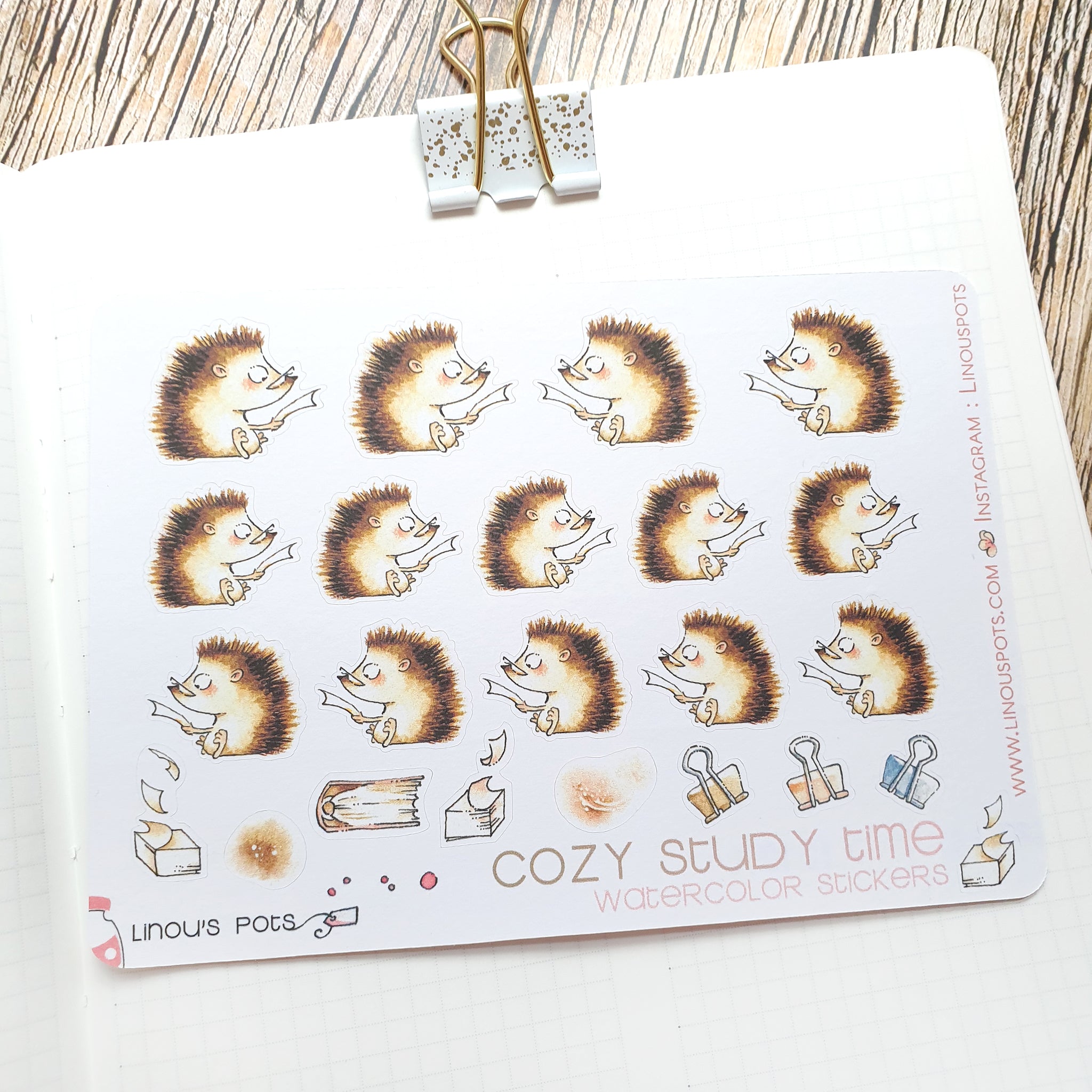 closeup of watercolor stickers - reading hedgehogs
