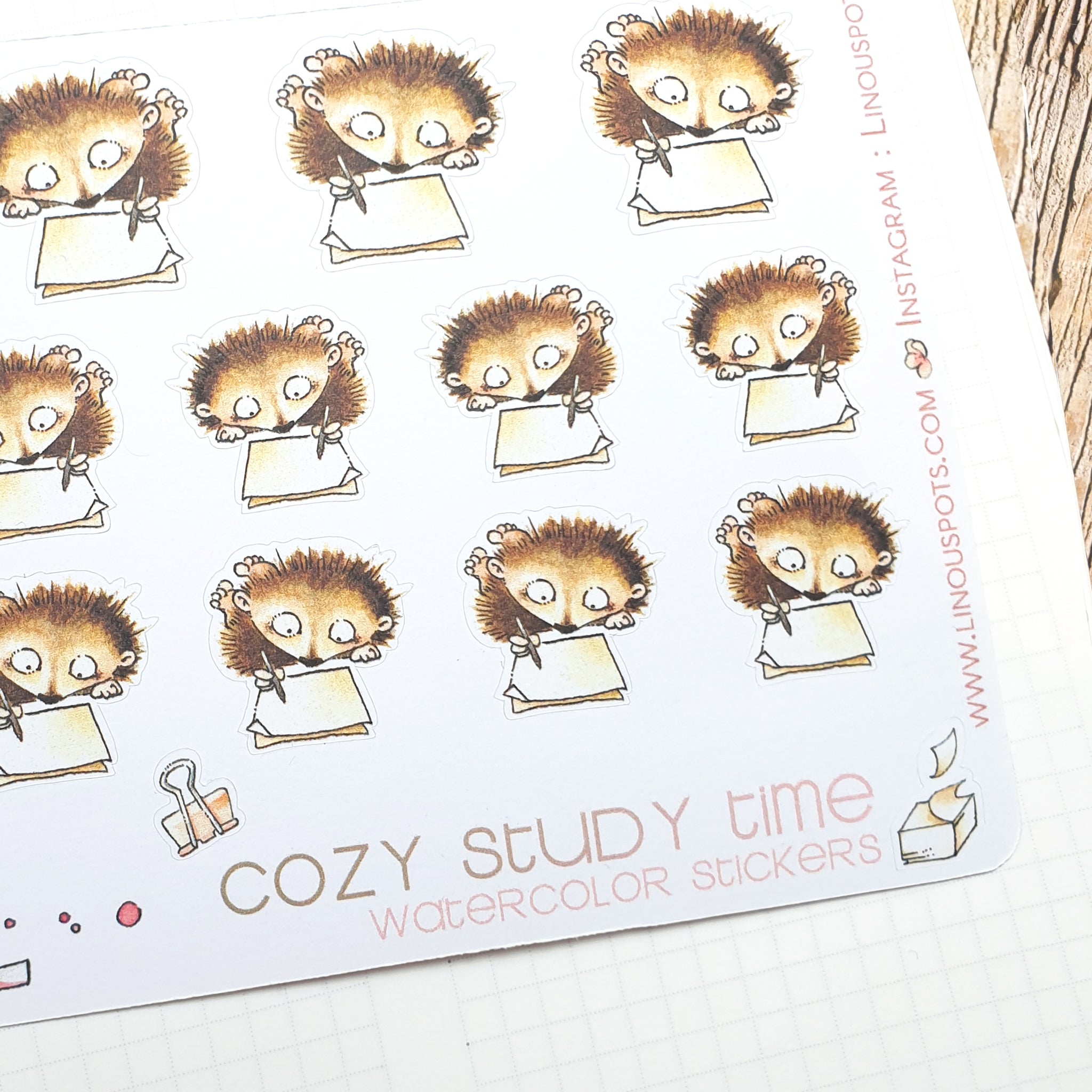 Second close up of watercolor stickers with writing hedgehogs