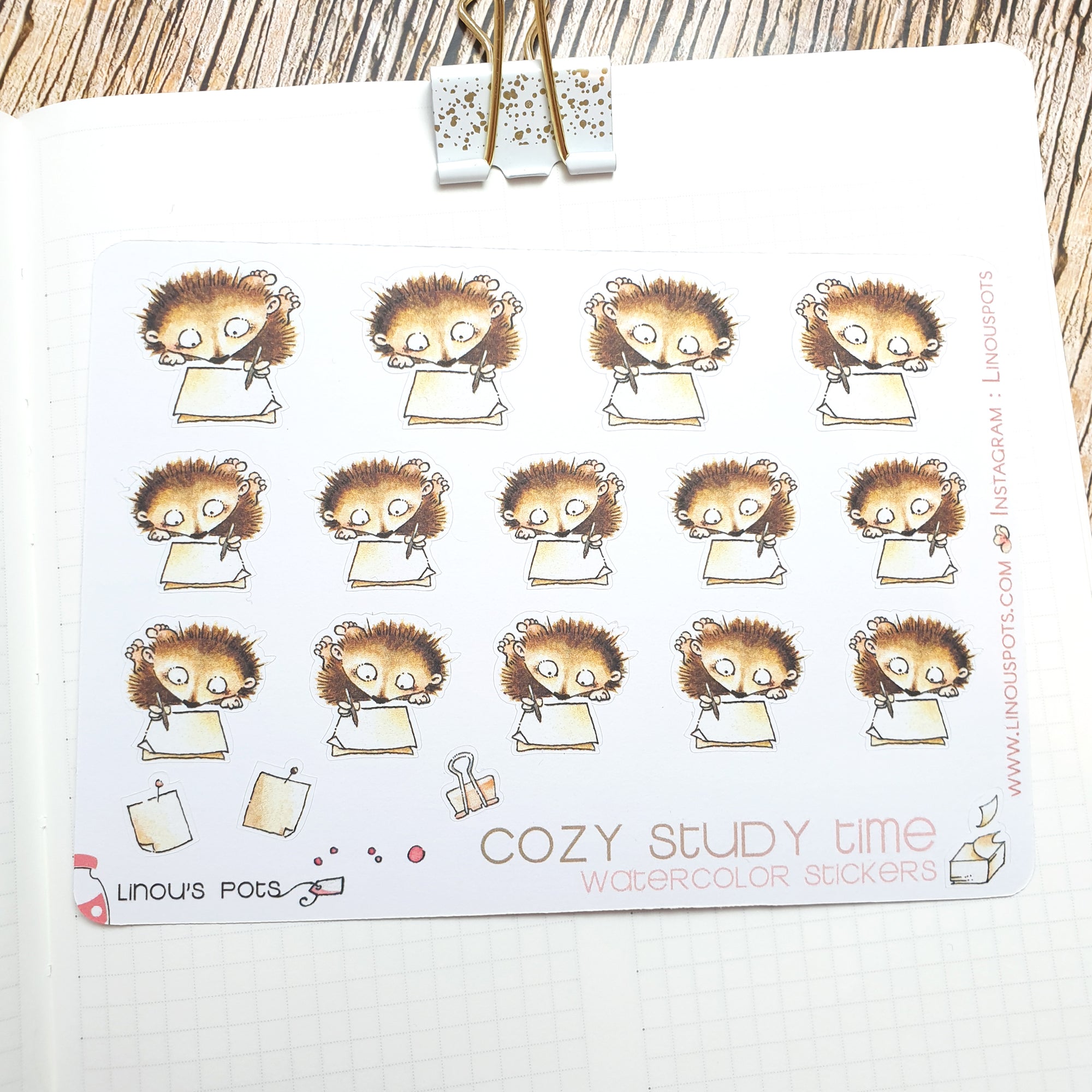 Close up of watercolor stickers with writing hedgehogs