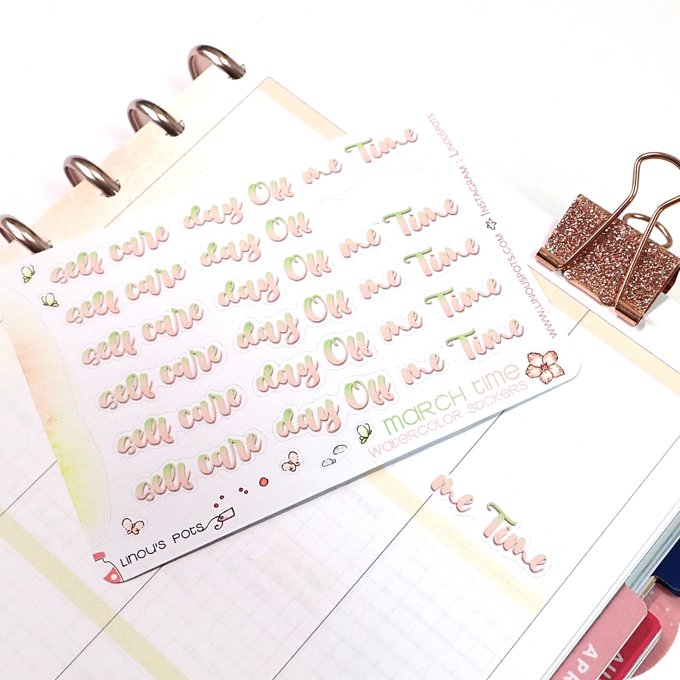 Me and Mini ME Day Planner Stickers