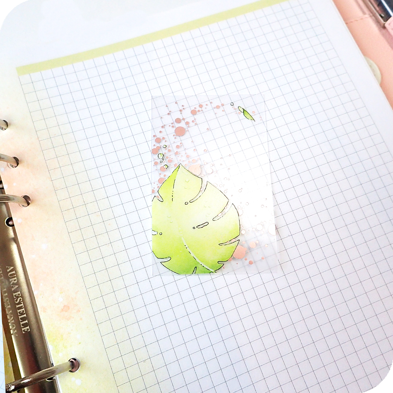 Transparent washi card with fresh leaves watercolor illustrations