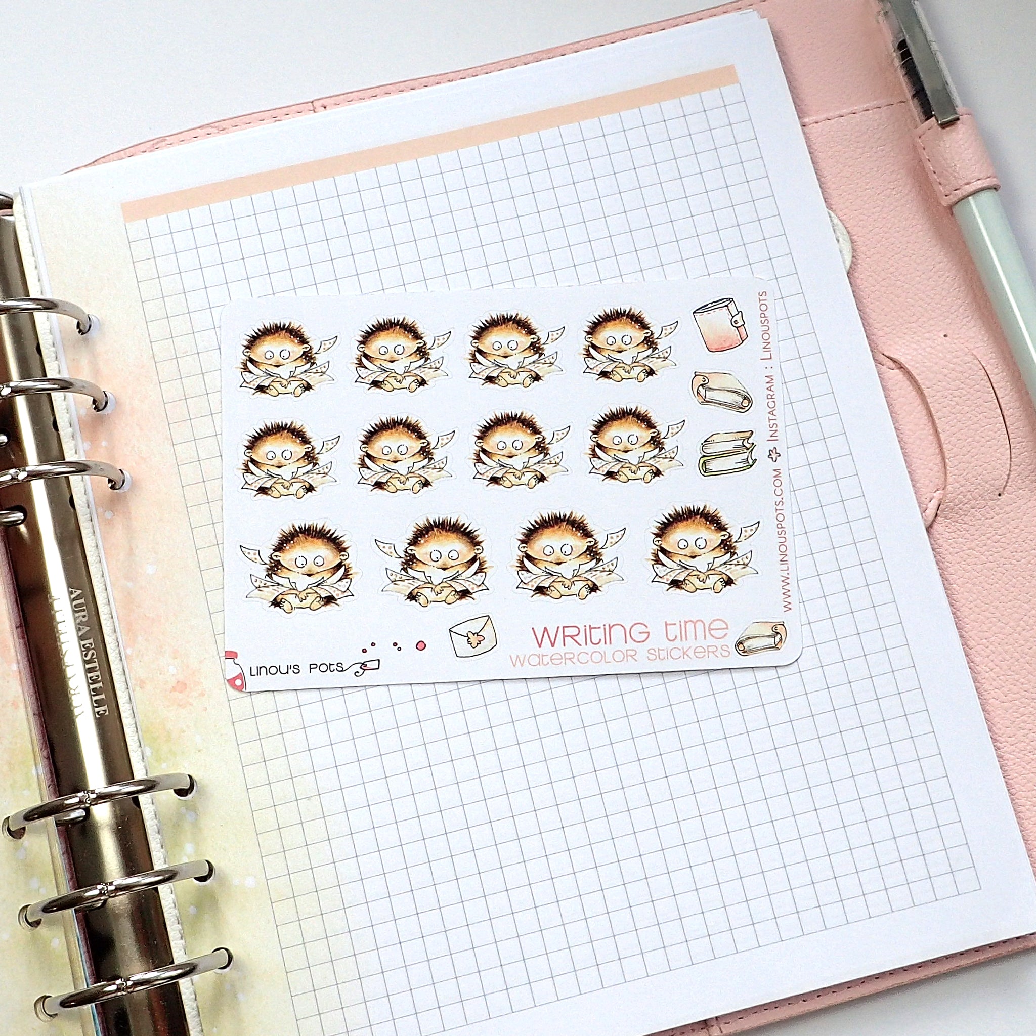 Writing Time - Decorative Watercolor Stickers - Hedgehogs and Stickers