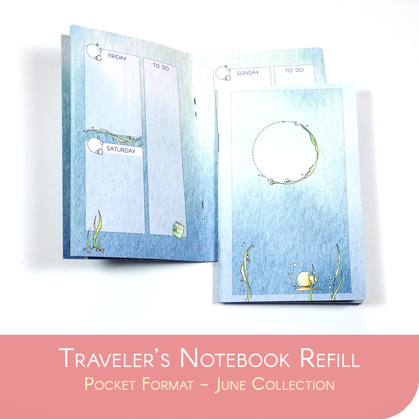 Undated Traveler&#39;s Notebook Insert - June Collection for POCKET sized